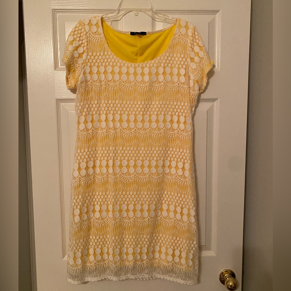 NWT Crochet/eyelash lace lined dress